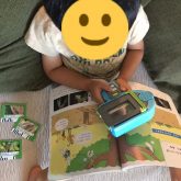こどもちゃれんじすてっぷ8月号の教材が届きました